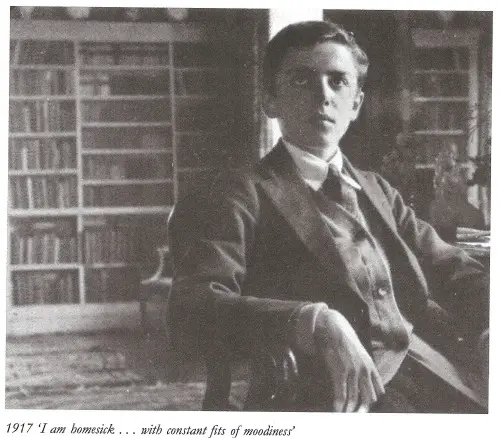 Portrait of Brian Howard